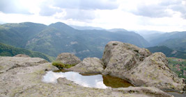 Belintash